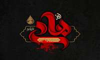 فرا رسیدن سالروز شهادت حضرت امام هادی (ع)